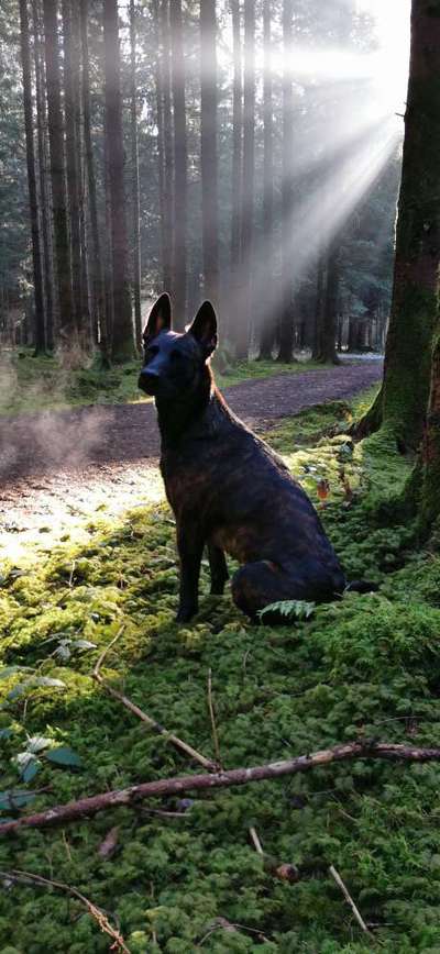 Fotochallenge 37- Sommerfeeling-Beitrag-Bild