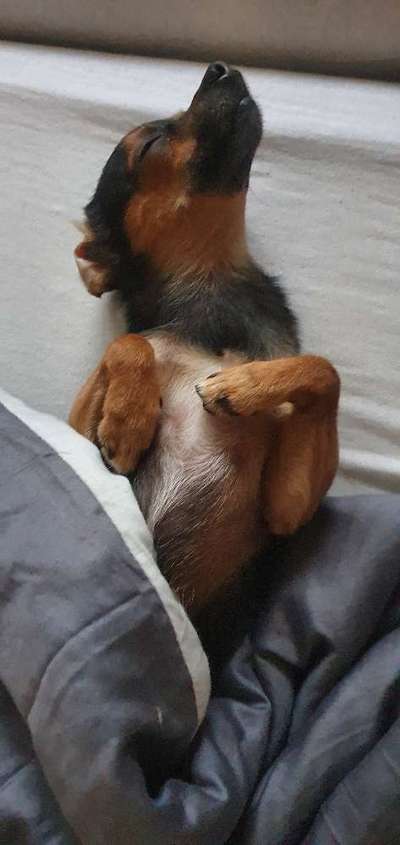 Die unbequemsten und lustigsten Schlafpositionen-Beitrag-Bild