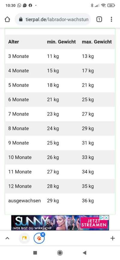 Gewicht/Futtermenge-Beitrag-Bild