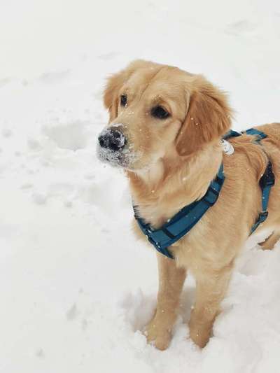 CHALLENGE Nr.17-Beitrag-Bild