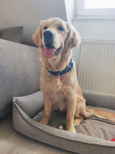 Schönen welt Frauen Tag !:)-Beitrag-Bild