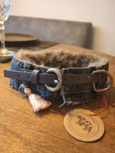 Wer macht Hundehalsbänder selber?-Beitrag-Bild