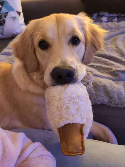 Gibt es Namens-Verwandte-Beitrag-Bild