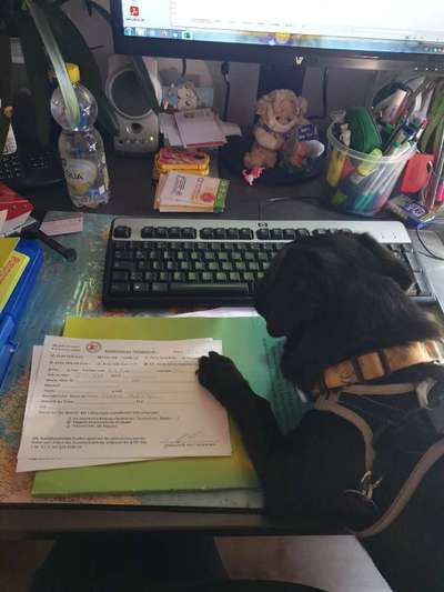 Zeigt her...-Beitrag-Bild