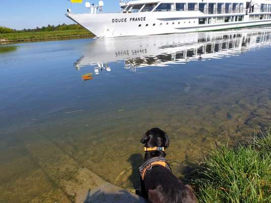 Theos Fotochallange Nummer 4-Beitrag-Bild