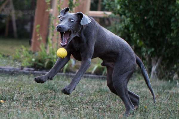 Lustige Bilder-Beitrag-Bild