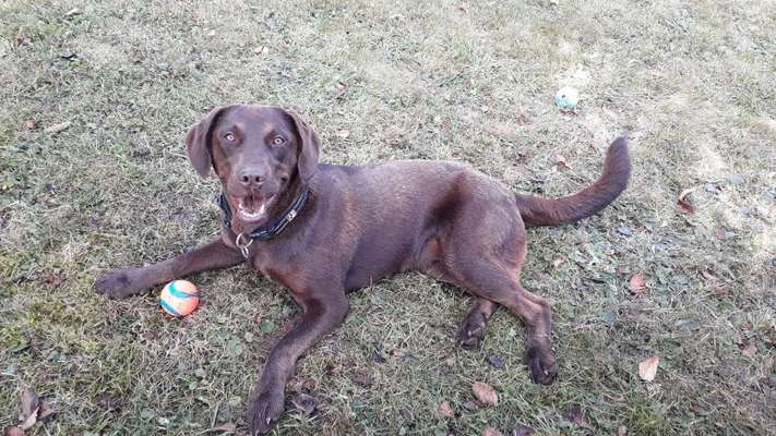 Fotochallenge Nr.122-Beitrag-Bild