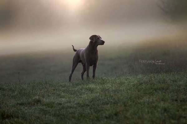 Austausch zur Fotografie-Beitrag-Bild