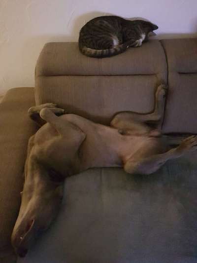 "Die eingefangene Magie des Augenblicks"-Beitrag-Bild