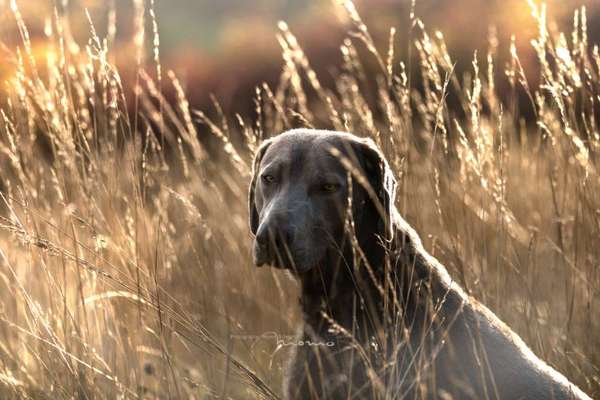 Challenge 21 - wo bin ich : )-Beitrag-Bild