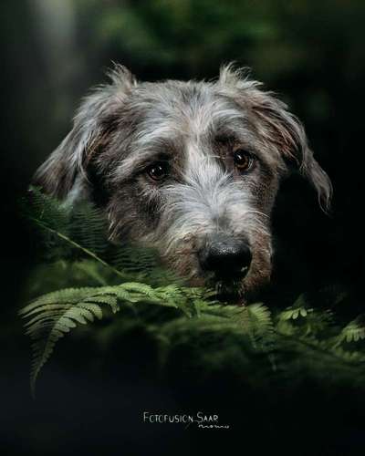 Austausch zur Fotografie-Beitrag-Bild