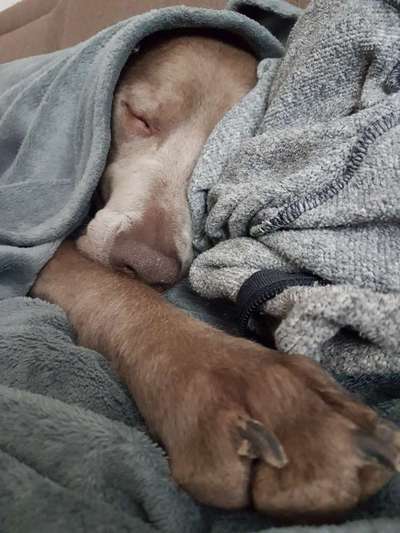 Fotochallange - Eingekugelt-Beitrag-Bild