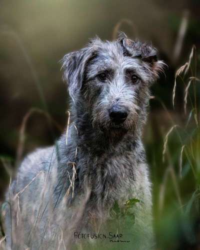 Austausch zur Fotografie-Beitrag-Bild