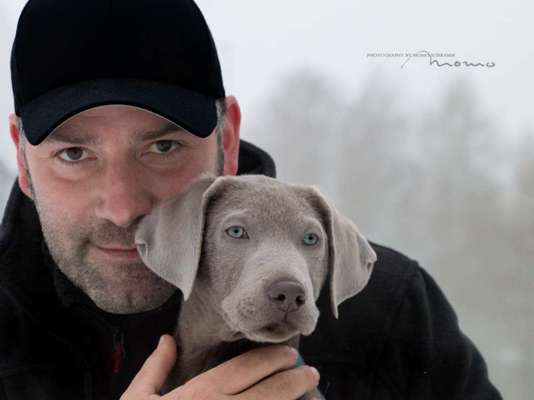 98.Fotochallange  - Hunde zeigen Zuneigung-Beitrag-Bild