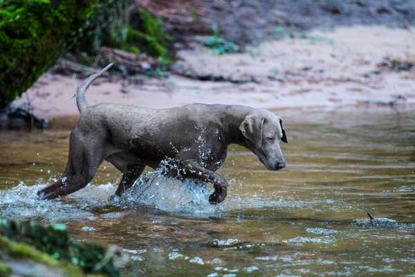 35. Handy Foto Challenge - Das nasse Element-Beitrag-Bild