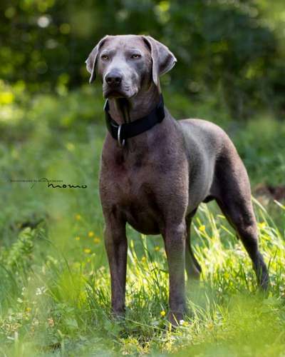 Farben Fotochallenge Thema ,,Grün"-Beitrag-Bild