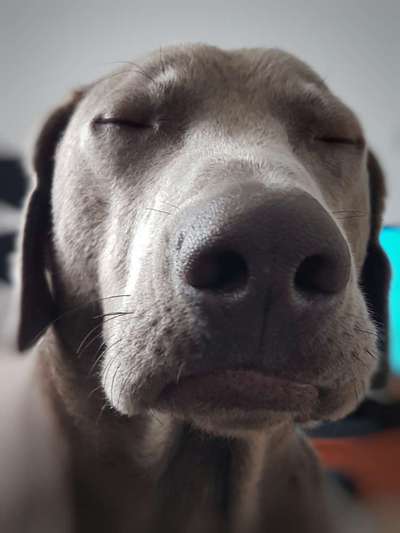 Außergewöhnliche Merkmale-Beitrag-Bild