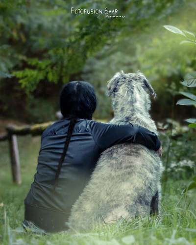 98.Fotochallange  - Hunde zeigen Zuneigung-Beitrag-Bild