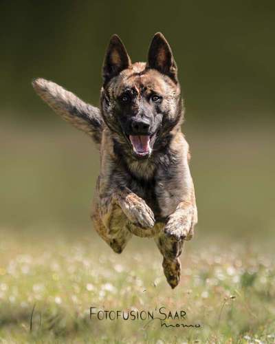 Austausch zur Fotografie-Beitrag-Bild