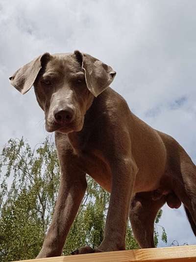 23. Handy Foto-Challenge-Beitrag-Bild