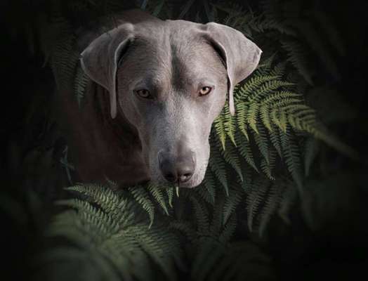 Handy-Foto Challange Nr. 10-Beitrag-Bild