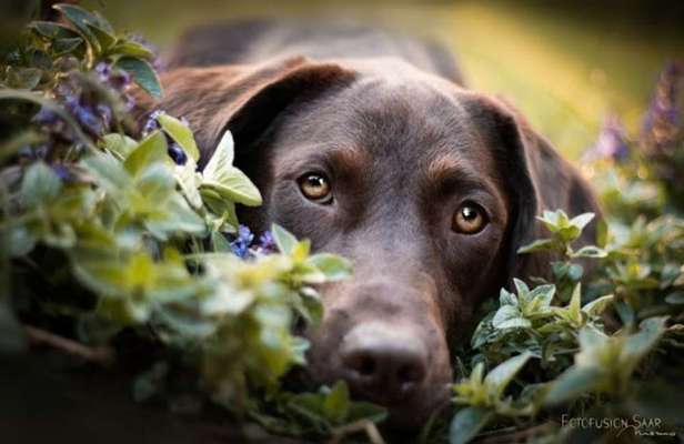 Austausch zur Fotografie-Beitrag-Bild
