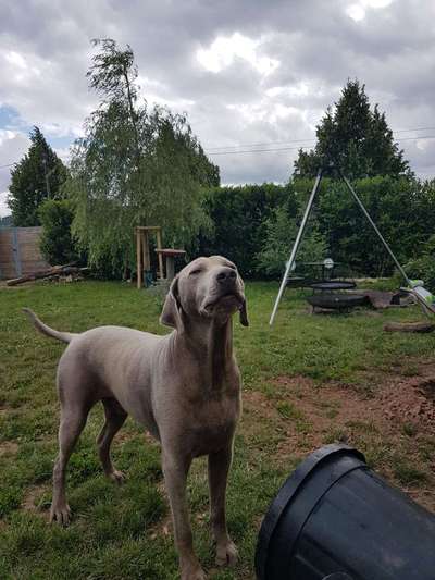 Fotochallenge 129-Beitrag-Bild