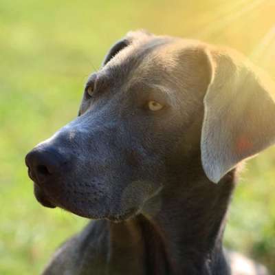 Farben Fotochallenge Sonnenlicht-Beitrag-Bild