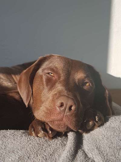 23. Handy Foto-Challenge-Beitrag-Bild