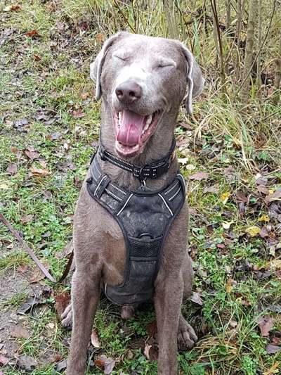 Fotochallenge Nr.122-Beitrag-Bild