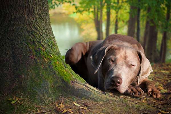 27. Handy Fotochallenge-Beitrag-Bild