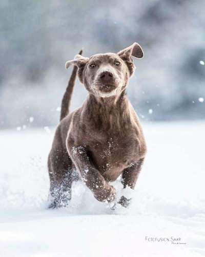 Der erste Schnee, zeigt uns eure tollen Schneemomente-Beitrag-Bild