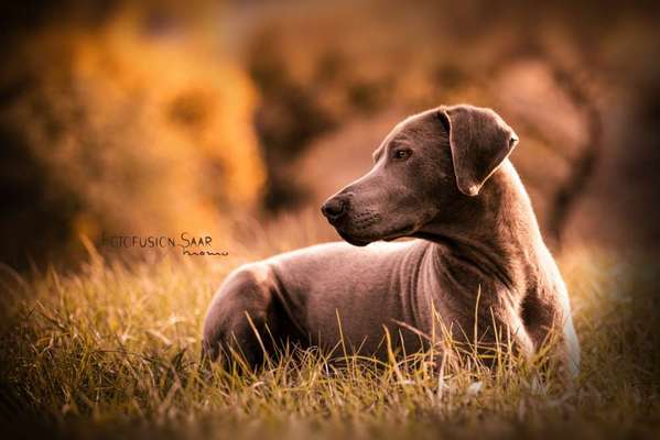 32. Collagen Challenge - eure liebsten gestellten Fotos-Beitrag-Bild