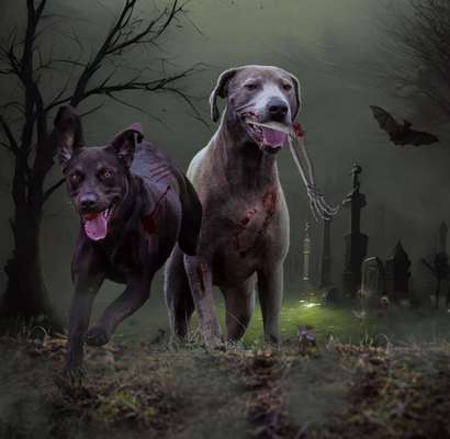 26. Handy Foto Challenge-Beitrag-Bild