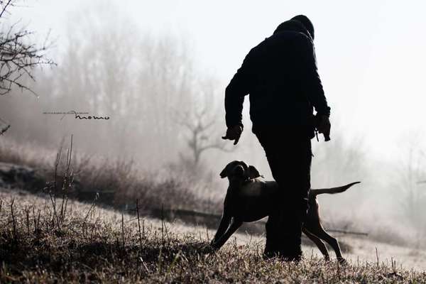 Fotochallenge 108: Starkes Team-Beitrag-Bild