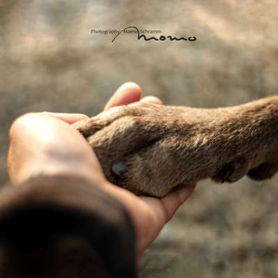 Blick fürs Detail!-Beitrag-Bild