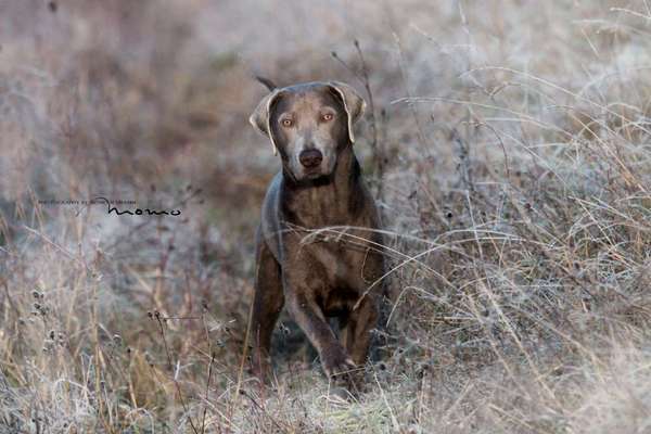 Ton in Ton-Beitrag-Bild