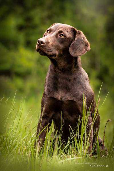 Farben Fotochallenge Thema ,,Grün"-Beitrag-Bild