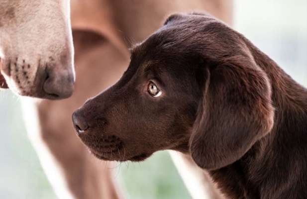 Photoshop und Co.-Beitrag-Bild