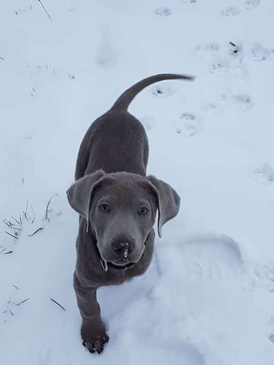 Bettel Blicke-Beitrag-Bild