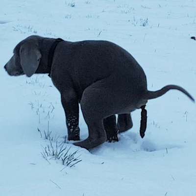 25. Handy Foto Challenge-Beitrag-Bild