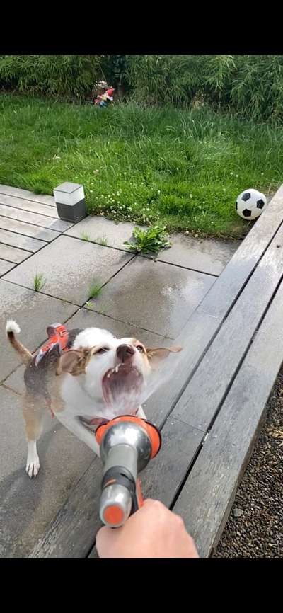 60. Handy Fotochallenge  -gleich schnapp ich es--Beitrag-Bild