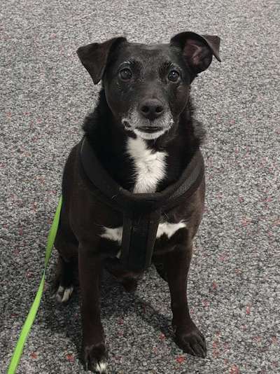 Fotochallange Nr. 57     PORTRÄT.   Beendet!!!!!!!!-Beitrag-Bild