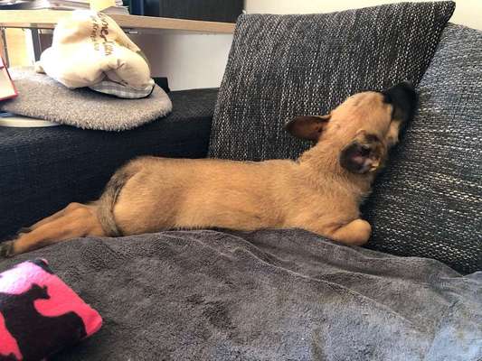 Die unbequemsten und lustigsten Schlafpositionen-Beitrag-Bild