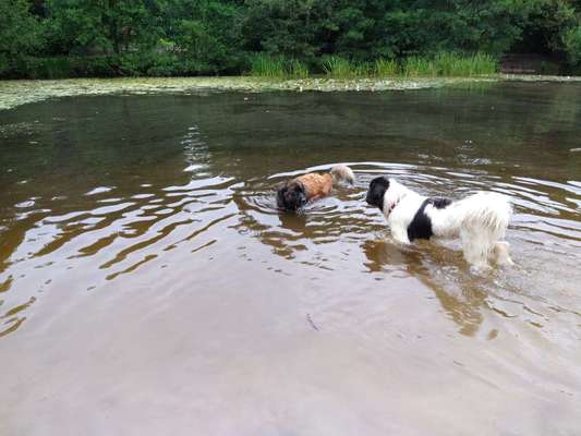 Spaziergänge in Friesland/Wangerland außerhalb der Hotspots-Beitrag-Bild