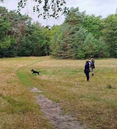 %{de_profession_title}-DummyWorker-Bild