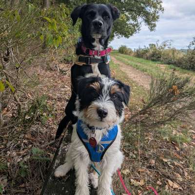 %{de_profession_title}-Benimm Dich!-Bild