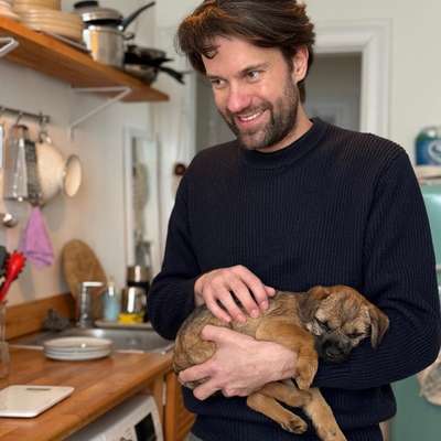 Hundetreffen-Welpentreffen-Bild