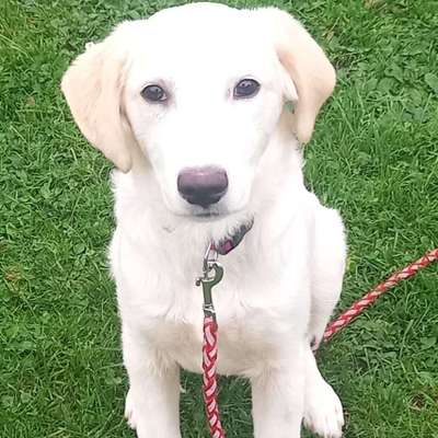 Martina's Profilbild