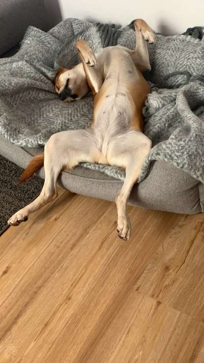 Fotochallenge Nr.65-Beitrag-Bild